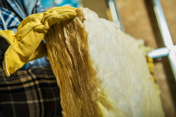 Best Insulation Maintenance and Repair in Mayfield, KY