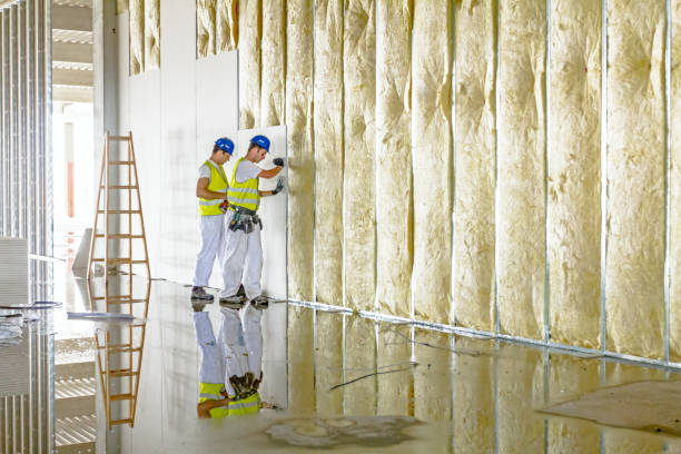 Best Commercial Insulation in Mayfield, KY